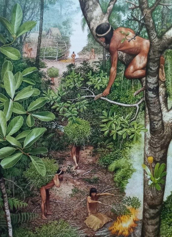 La yerba mate: herencia guaraní en el Plata